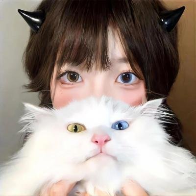 帕西法尔在哪里？